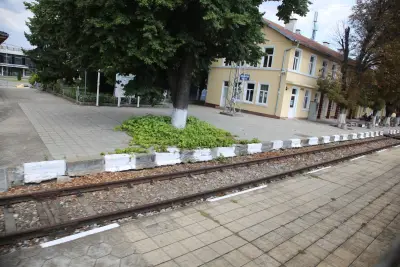 Павликени