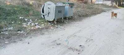 КМД ЕООД