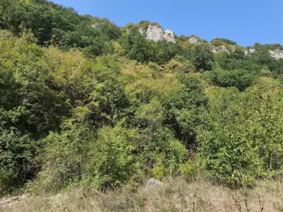 Хижа "Люляка"