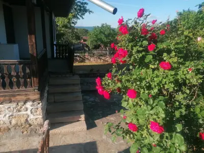 Guesthouse Kutsina