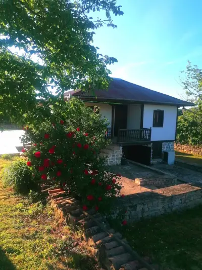 Guesthouse Kutsina