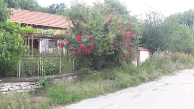 Ostava