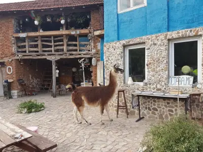 Ostava