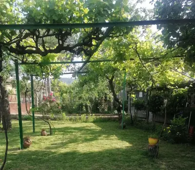 Guest House RUSALIA