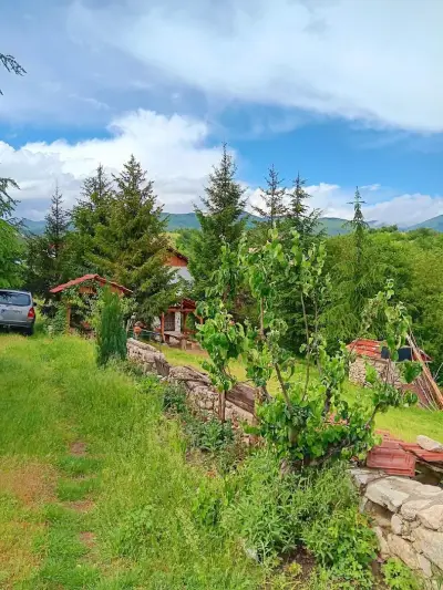 Villa Edelweiss / Вила Еделвайс