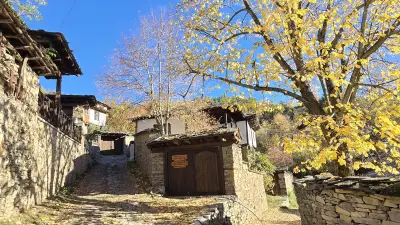 Вили Панорама Лещен