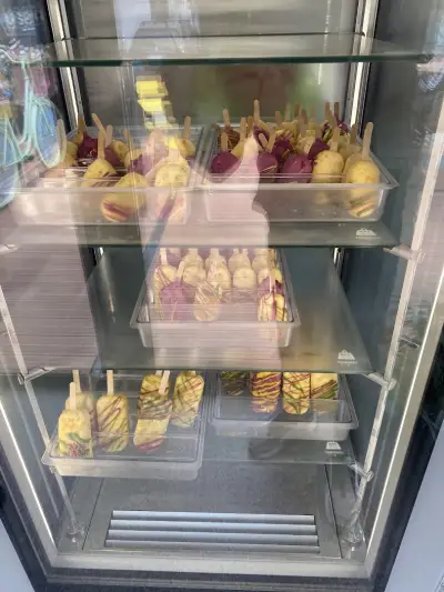 Сладоледоизкусителница