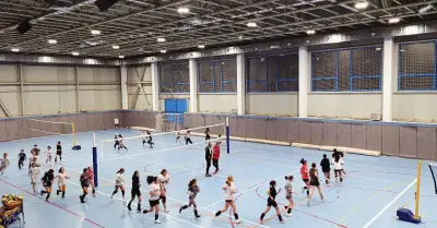 Волейболен Клуб Феникс 2024