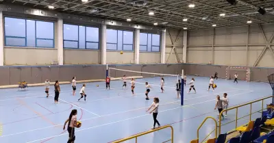 Волейболен Клуб Феникс 2024