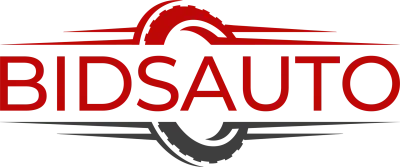 BidsAuto