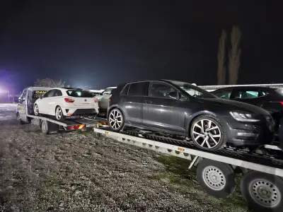 DANIAUTO Car dealership and Car transport