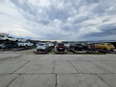 DANIAUTO Car dealership and Car transport