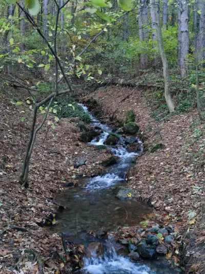 Малко водопадче (Small waterfall)