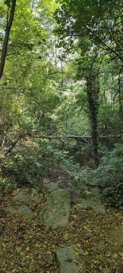 Малко водопадче (Small waterfall)