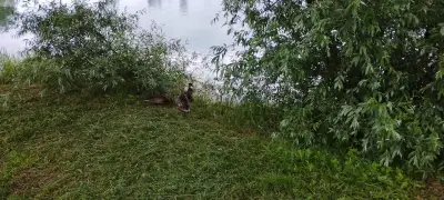 Дружбенско езеро