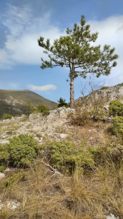 Скално образувание Котката