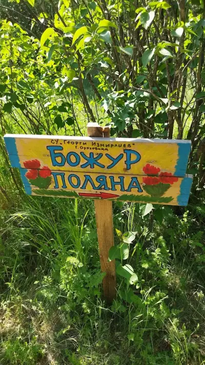 Божур поляна