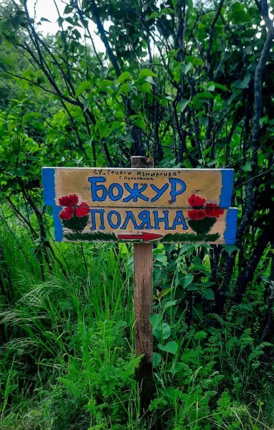 Божур поляна