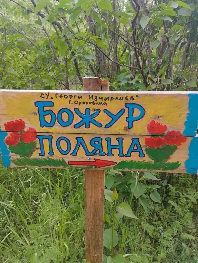 Божур поляна