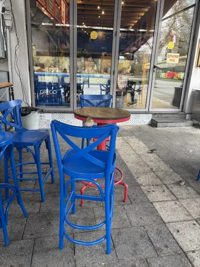 Greco Gyros & Chips
