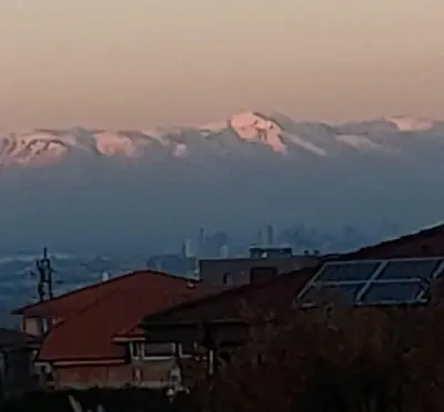 Белащица вила