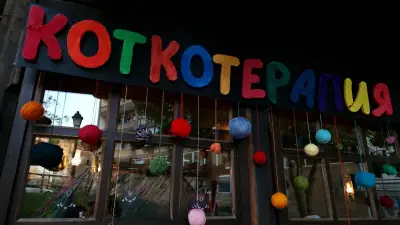 Билкопродавницата-кафе-сладкарница и магазин