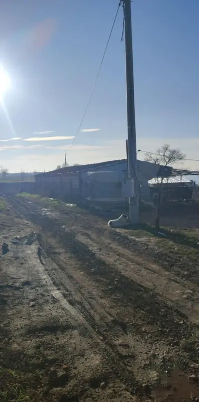 БУКВИТЕ