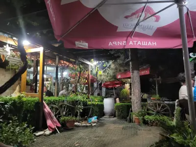Cafe-aperitiv Toko