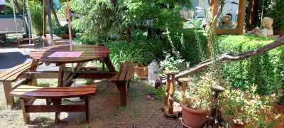Cafe-aperitiv Toko