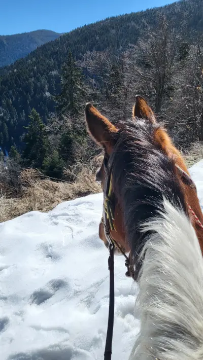 Езда "Боровец" / Horse Riding "Borovets"
