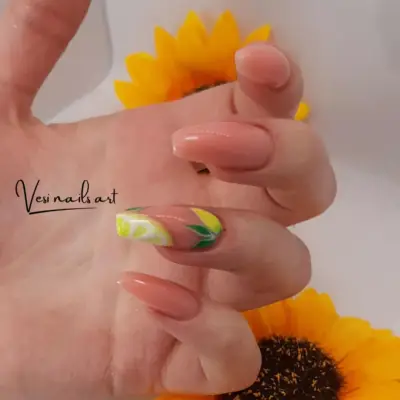 Vesi Nails Art (Artmaster)