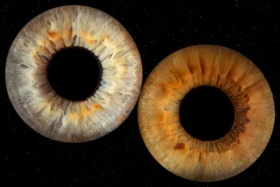 IRIS WORLD STUDIO