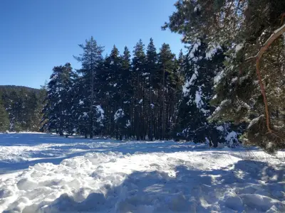 Хижа „Здравец“