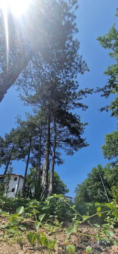 Къщи за гости NARA