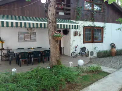 Вили Arthouses