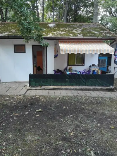 Вили Arthouses