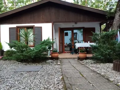 Вили Arthouses