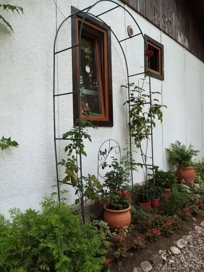 Вили Arthouses