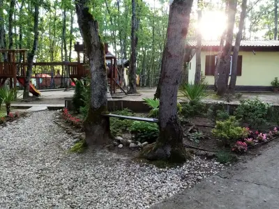 Вили Arthouses