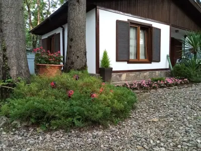 Вили Arthouses