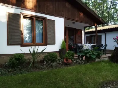 Вили Arthouses