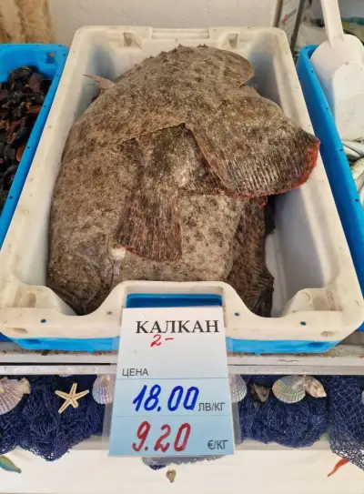 ПРЯСНА РИБА при Мариянчето