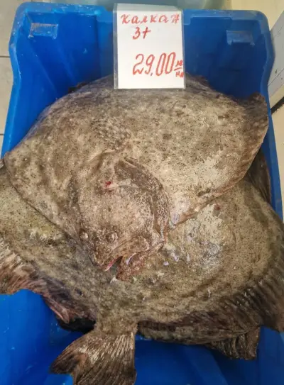 ПРЯСНА РИБА при Мариянчето