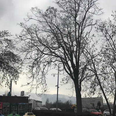 Градината на доброто