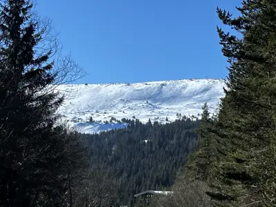 Vitosha ski