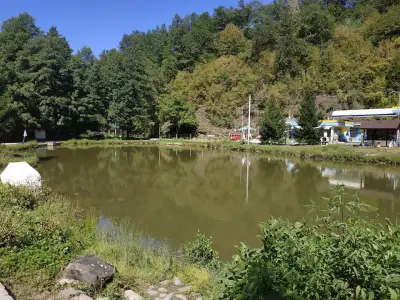 Комплекс Върбака
