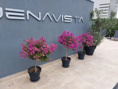 Buena Vista Villas