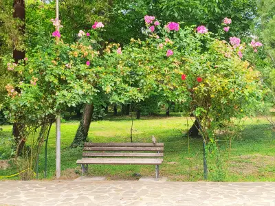 Розариум