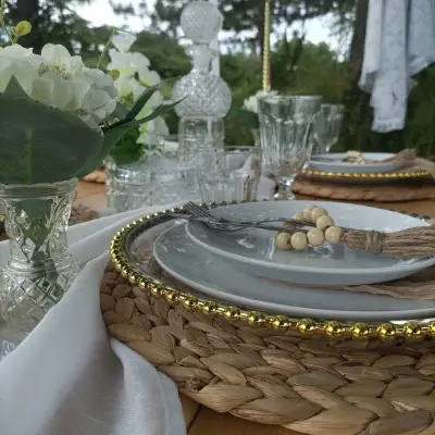 Picnic Blanket AV