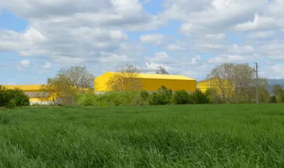 ДЖЕНИ ОВО ЕООД
